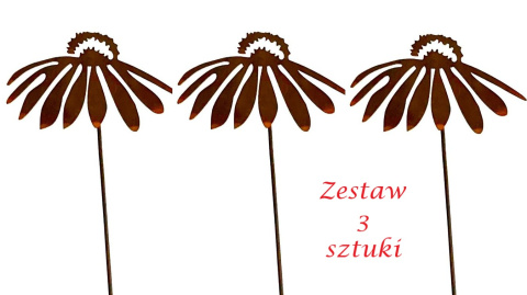 Jeżówki z cortenu